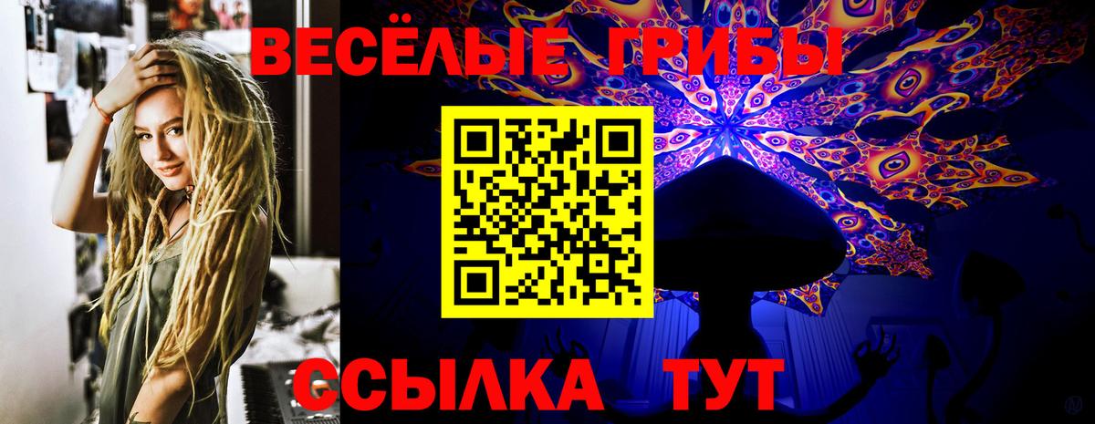 Псилоцибиновые грибы GOLDEN TEACHER Клин